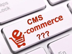 Membangun-Website-E-Commerce-Dengan-CMS-compressor